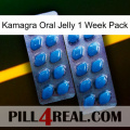 Kamagra Oral Jelly 1 Week Pack viagra2